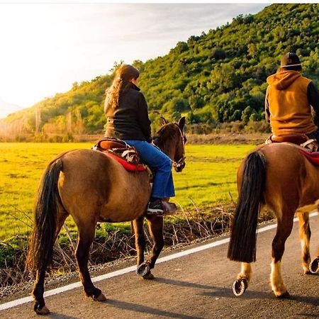 Hotel Boutique Raices De Colchagua سانتا كروز المظهر الخارجي الصورة