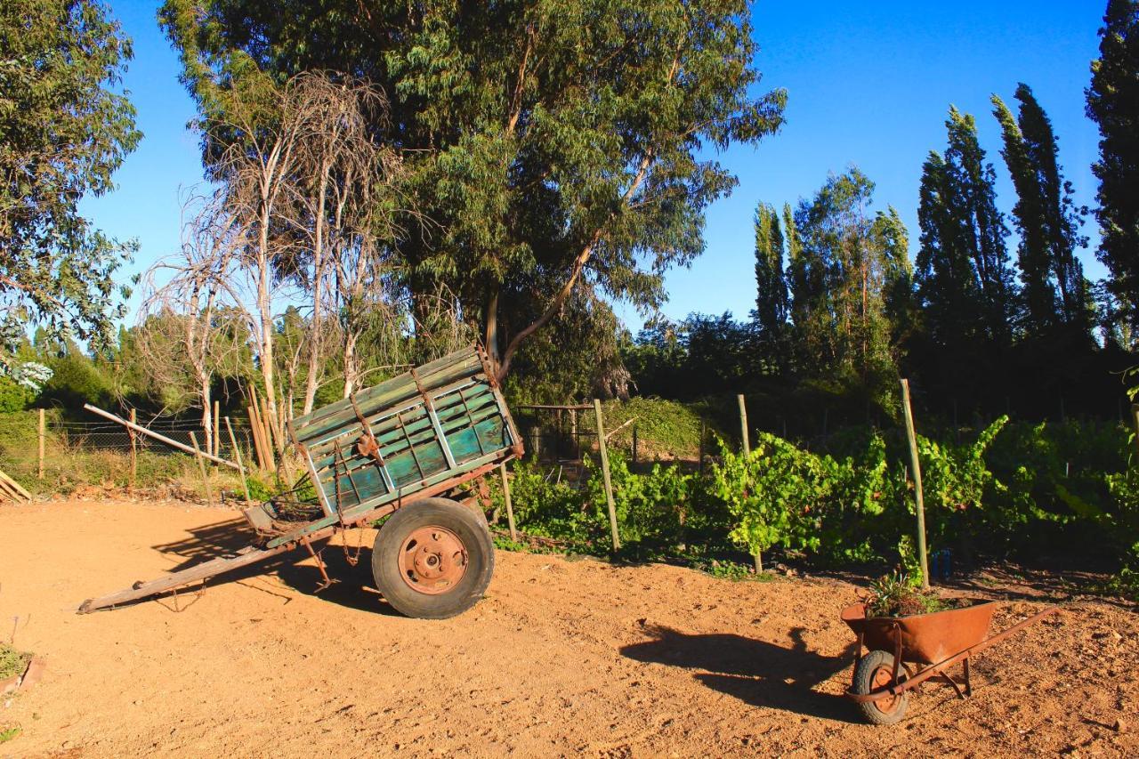 Hotel Boutique Raices De Colchagua سانتا كروز المظهر الخارجي الصورة