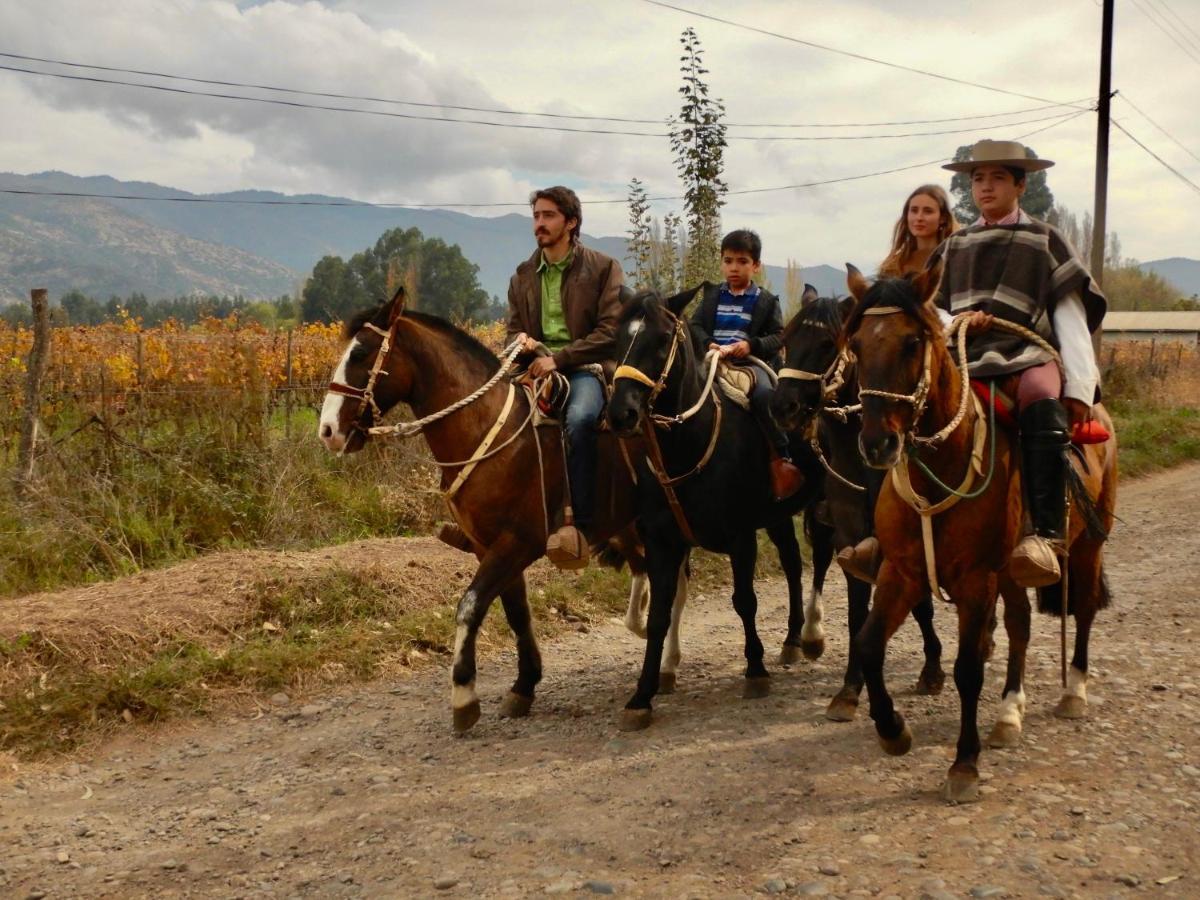 Hotel Boutique Raices De Colchagua سانتا كروز المظهر الخارجي الصورة