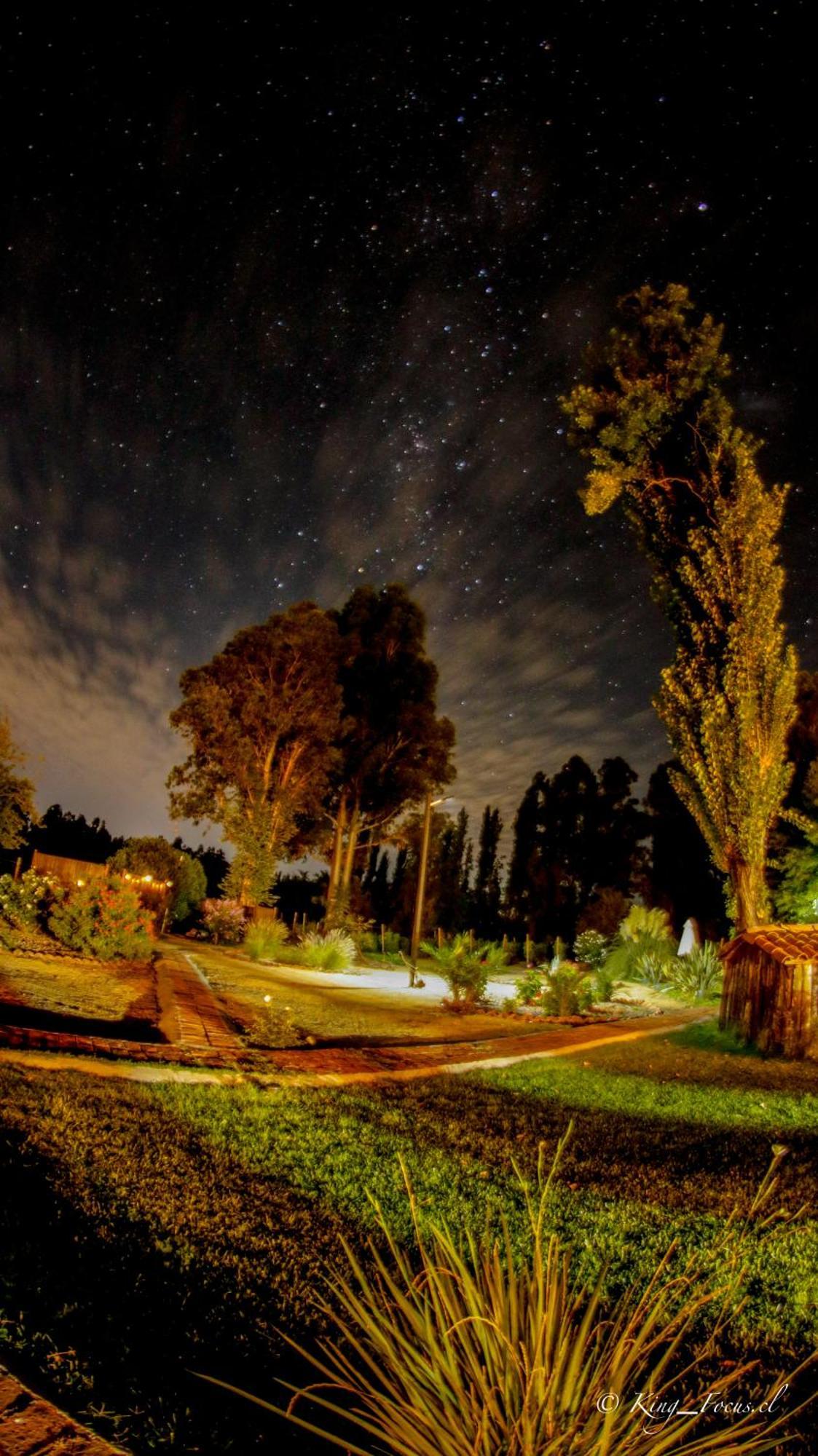 Hotel Boutique Raices De Colchagua سانتا كروز المظهر الخارجي الصورة
