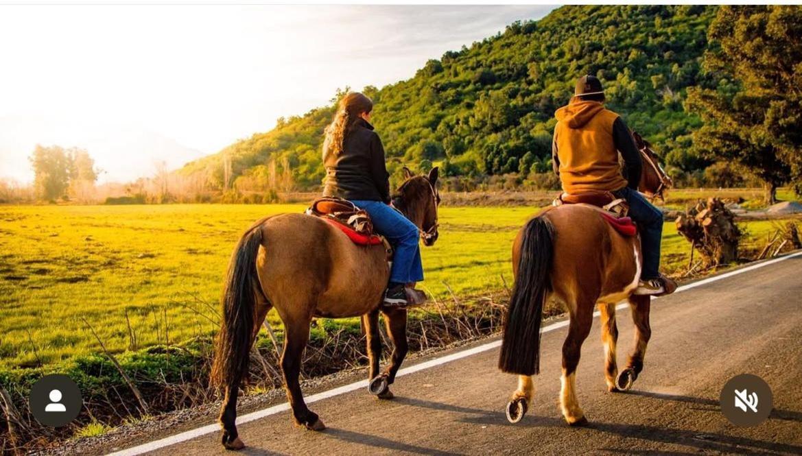 Hotel Boutique Raices De Colchagua سانتا كروز المظهر الخارجي الصورة